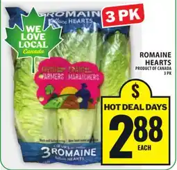 Food Basics CANTALOUPE offer