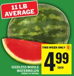 Food Basics 6 IVY offer