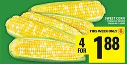 Food Basics SWEET ASSORTED OR GREEN PEPPERS offer
