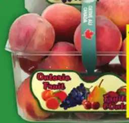 Food Basics DOLE COLE SLAW SALAD offer