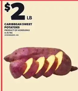 Loblaws CARIBBEAN SWEET POTATOES offer