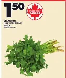 Loblaws CILANTRO, BUNCH offer
