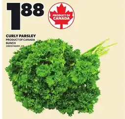 Loblaws CURLY PARSLEY offer
