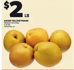Loblaws ASIAN YELLOW PEARS offer