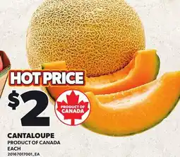 Loblaws CANTALOUPE, EACH offer