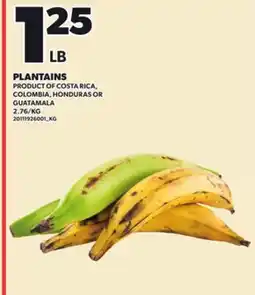 Loblaws PLANTAINS offer