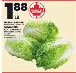 Loblaws NAPPA CABBAGE, OR TAIWANESE FLAT CABBAGE offer