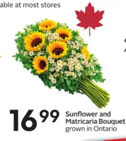 Sobeys Sunflower and Matricaria Bouquet offer
