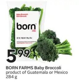 Sobeys Baby Broccoli offer