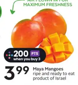 Sobeys Maya Mangoes offer