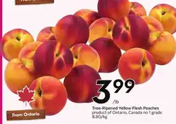 Sobeys Tree-Ripened Yellow Flesh Peaches - Fresh Fest offer