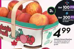 Sobeys Ontario Grown Peaches - Fresh Fest offer
