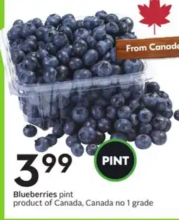 Sobeys Blueberries pint offer