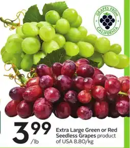 Sobeys Extra Large Green or Red Seedless Grapes offer