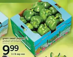 Fortinos GREEN SWEET PEPPERS, 11 LB AVG CASE offer