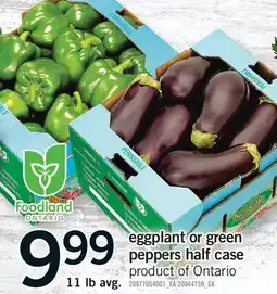 Fortinos EGGPLANT OR GREEN PEPPERS HALF CASE, 11 LB AVG offer