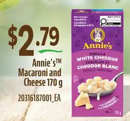 Fortinos ANNIE'S MACARONI AND CHEESE offer