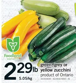 Fortinos GREEN, GREY OR YELLOW ZUCCHINI offer