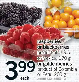 Fortinos RASPBERRIES OR BLACKBERRIES, 170 G OR GOLDENBERRIES, 200 G offer
