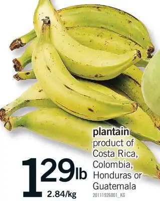 Fortinos PLANTAIN offer