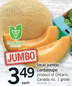 Fortinos LOCAL JUMBO CANTALOUPE offer