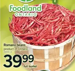 Fortinos ROMANO BEANS, FULL BUSHEL offer
