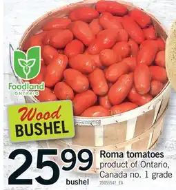 Fortinos ROMA TOMATOES, BUSHEL offer