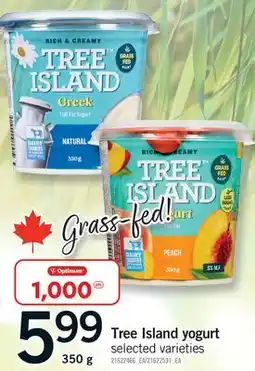 Fortinos TREE ISLAND YOGURT offer