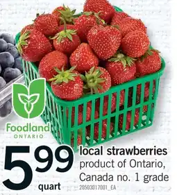 Fortinos LOCAL STRAWBERRIES, QUART offer