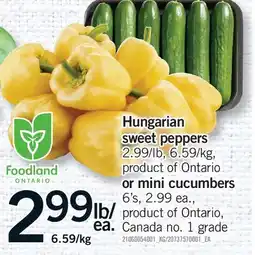 Fortinos HUNGARIAN SWEET PEPPERS OR MINI CUCUMBERS, 6'S offer