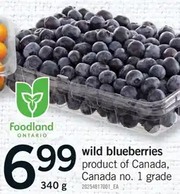 Fortinos WILD BLUEBERRIES offer