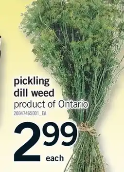 Fortinos PICKLING DILL WEED offer