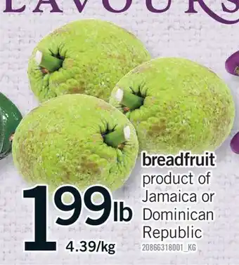 Fortinos BREADFRUIT offer
