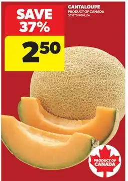 Real Canadian Superstore CANTALOUPE offer