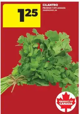 Real Canadian Superstore CILANTRO offer