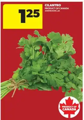 Real Canadian Superstore CILANTRO offer
