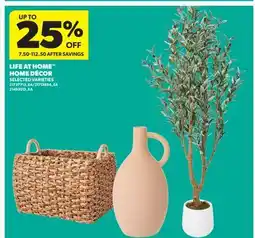 Real Canadian Superstore LIFE AT HOME HOUSEPLANT offer