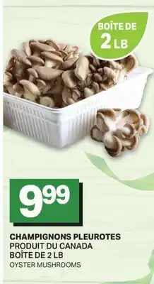 L'Intermarché CHAMPIGNONS PLEUROTES offer