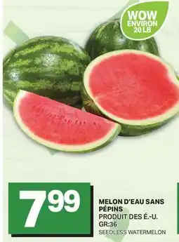 L'Intermarché MELON D'EAU SANS PÉPINS | SEEDLESS WATERMELON offer