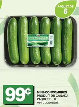 L'Intermarché MINI-CONCOMBRES offer