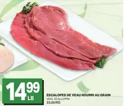 L'Intermarché ESCALOPES DE VEAU NOURRI AU GRAIN offer