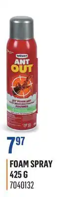 Canac Ant Out Killer foam spray 425g offer