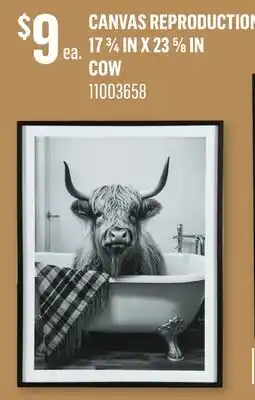 Canac Canvas Reproduction 17 3/4 in x 23 5/8 in offer
