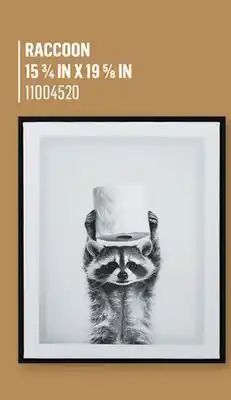 Canac Canvas Reproduction Raccoon 153/4inx195/8in offer