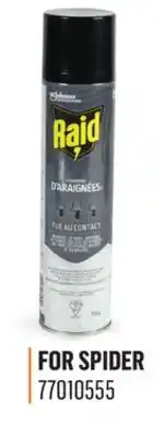 Canac Raid Spider Insecticide offer