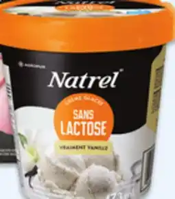 Walmart Natrel lactose free ice cream offer