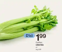 Avril Québec céleri bio offer