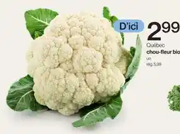 Avril Québec chou-fleur bio offer