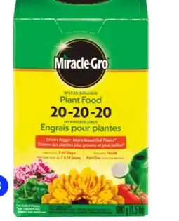 RONA All MIRACLE GRO plant fertilizers offer