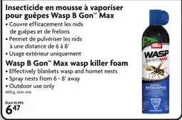 Home Hardware Wasp B Gon Max wasp killer foam offer